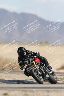 media/Oct-13-2025-Moto Forza (Mon) [[a66d839500]]/3-B Group/Session 4 Turn 4 Tree of Life/